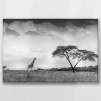 LW-030W020