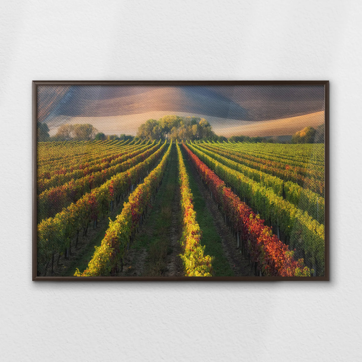 LWN100W070