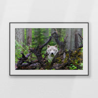 PBP100W070
