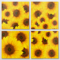 AC-100V100