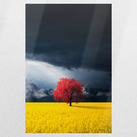 PO-040W060