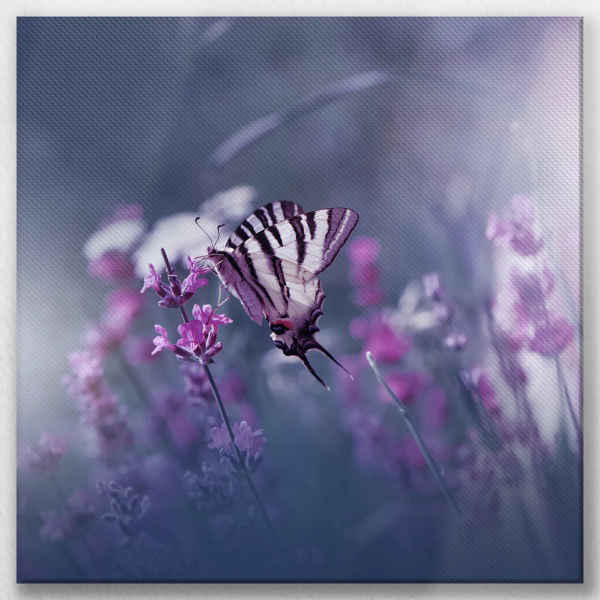 LW-040W040