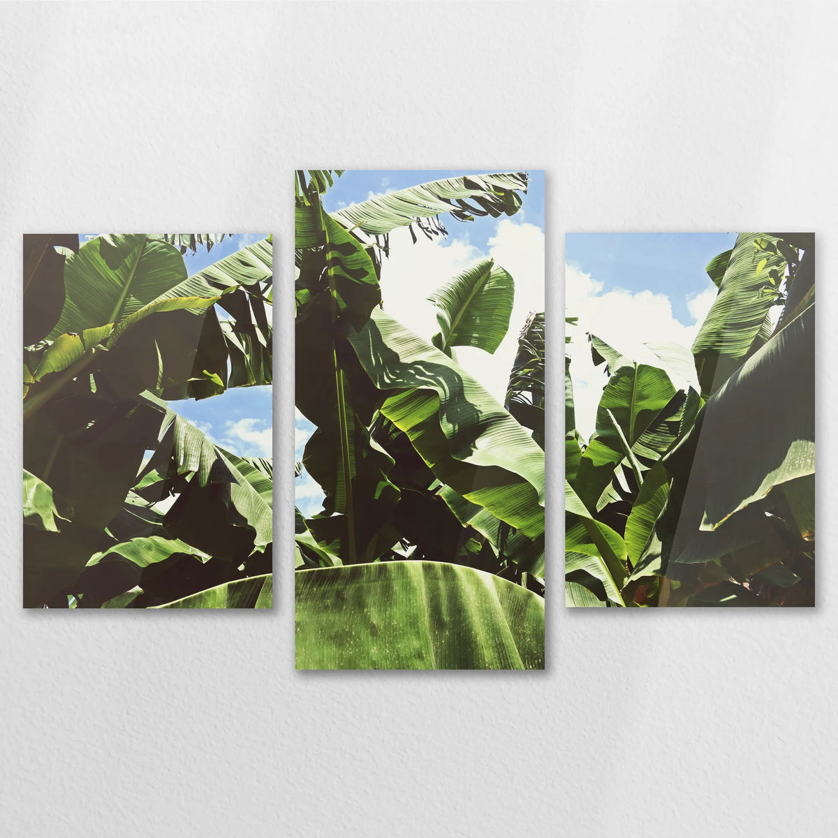 AC-120T080