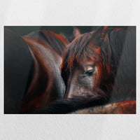 PO-045W030
