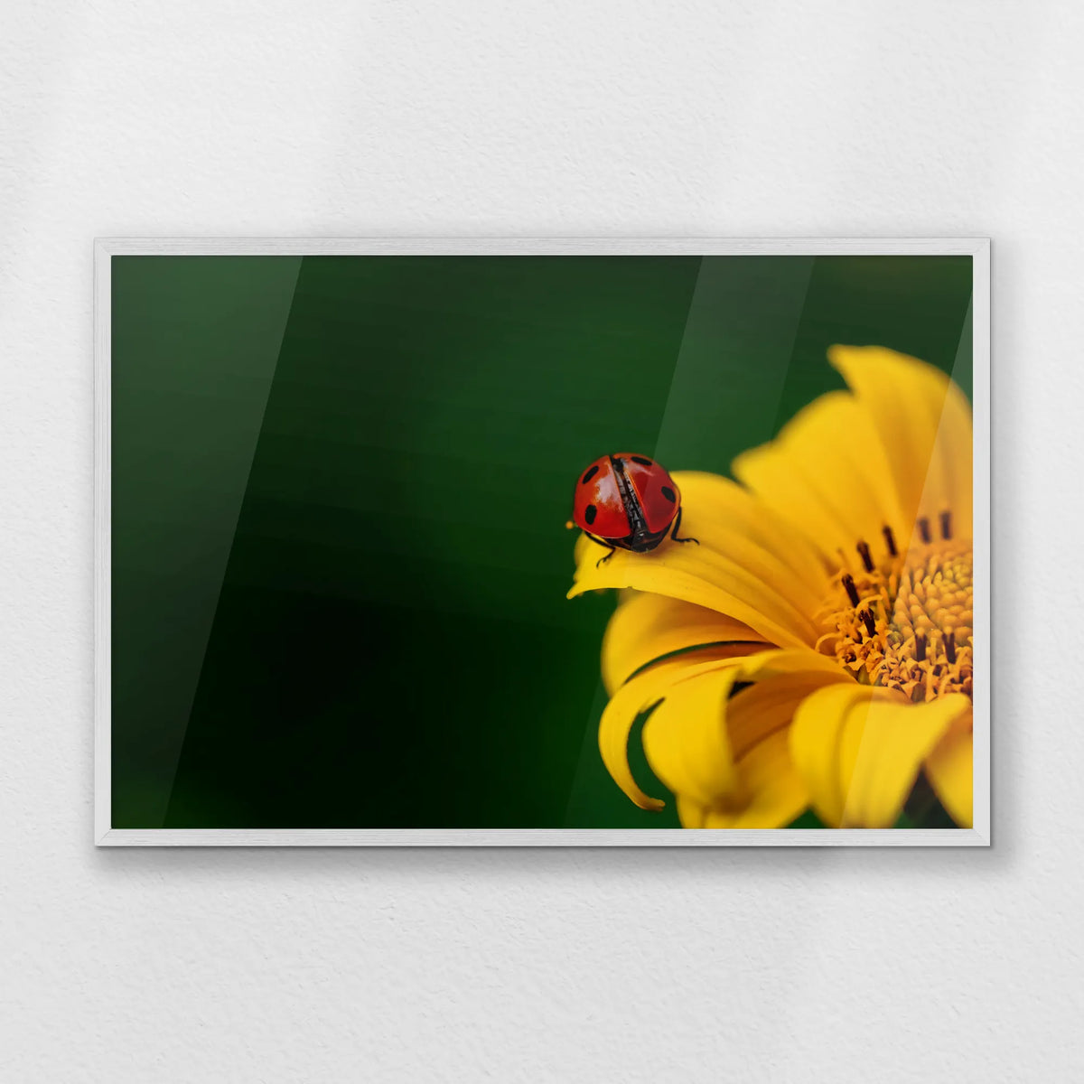 PW-093W062