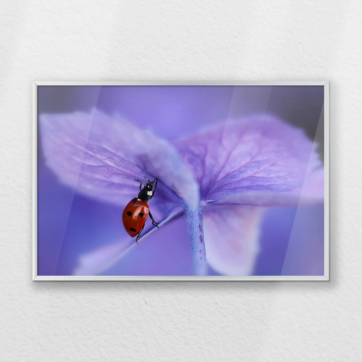 PS-060W040