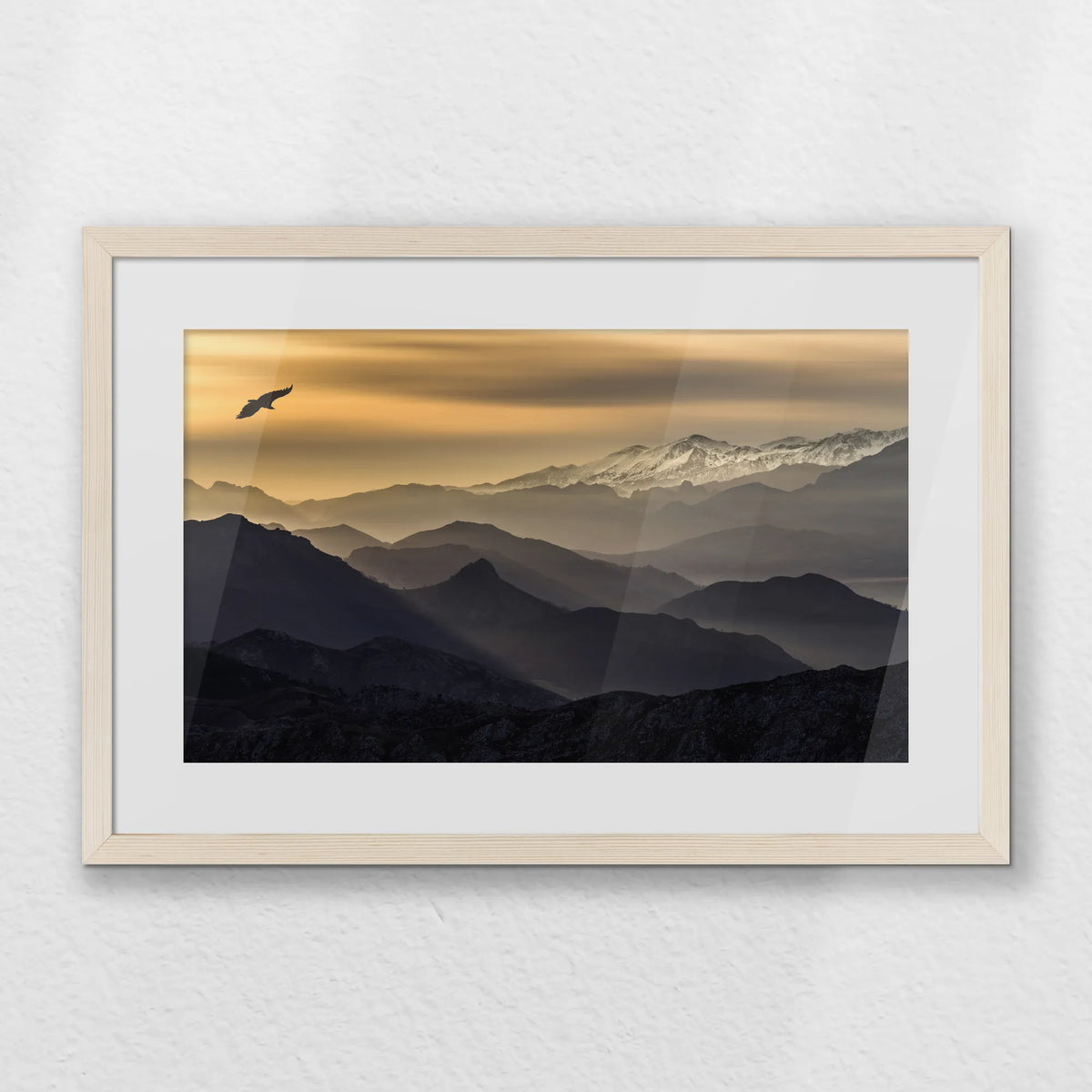 PNP060W040