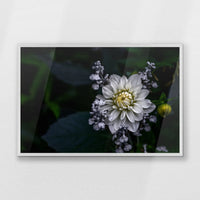 PW-093W062