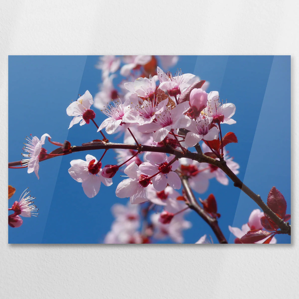AC-075W050