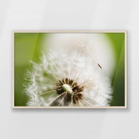 PN-093W062