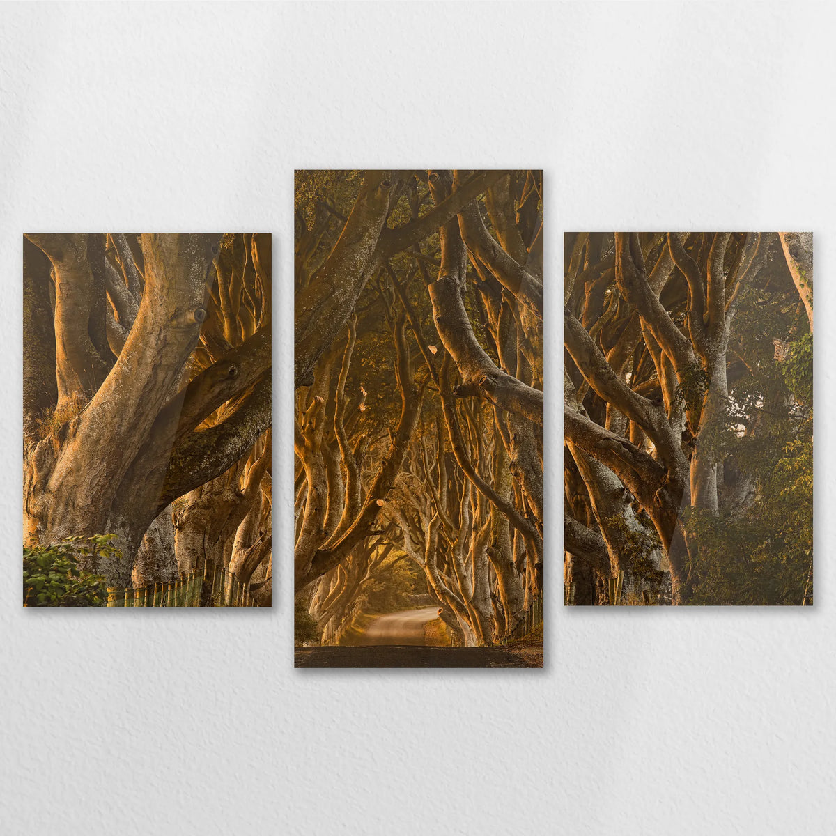 AC-150T100