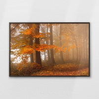 LWN120W080
