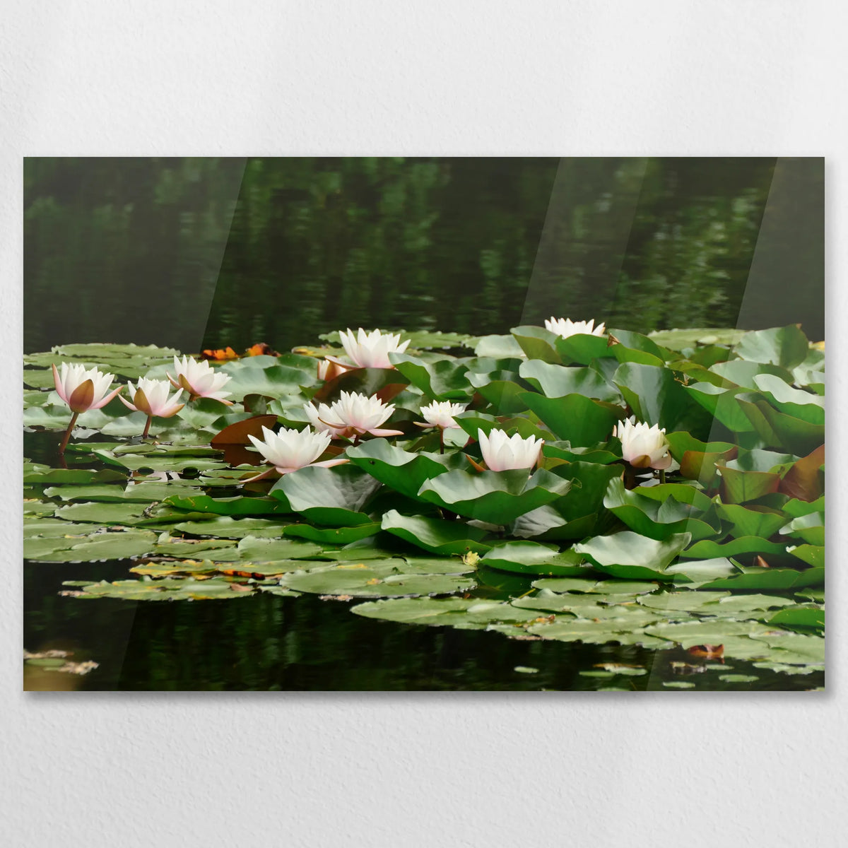 AC-075W050