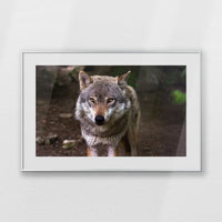 PSP093W062