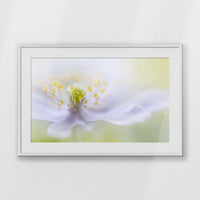 PWP100W070