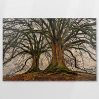 AC-075W050