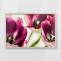 PN-093W062