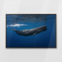 LWN120W080