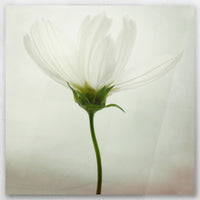 AC-060W060