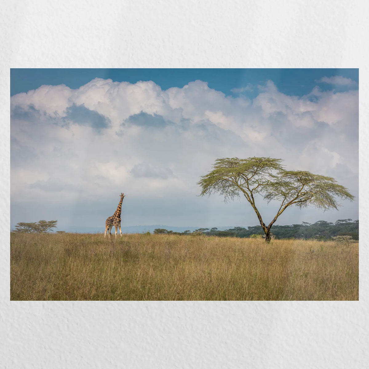 PO-030W020