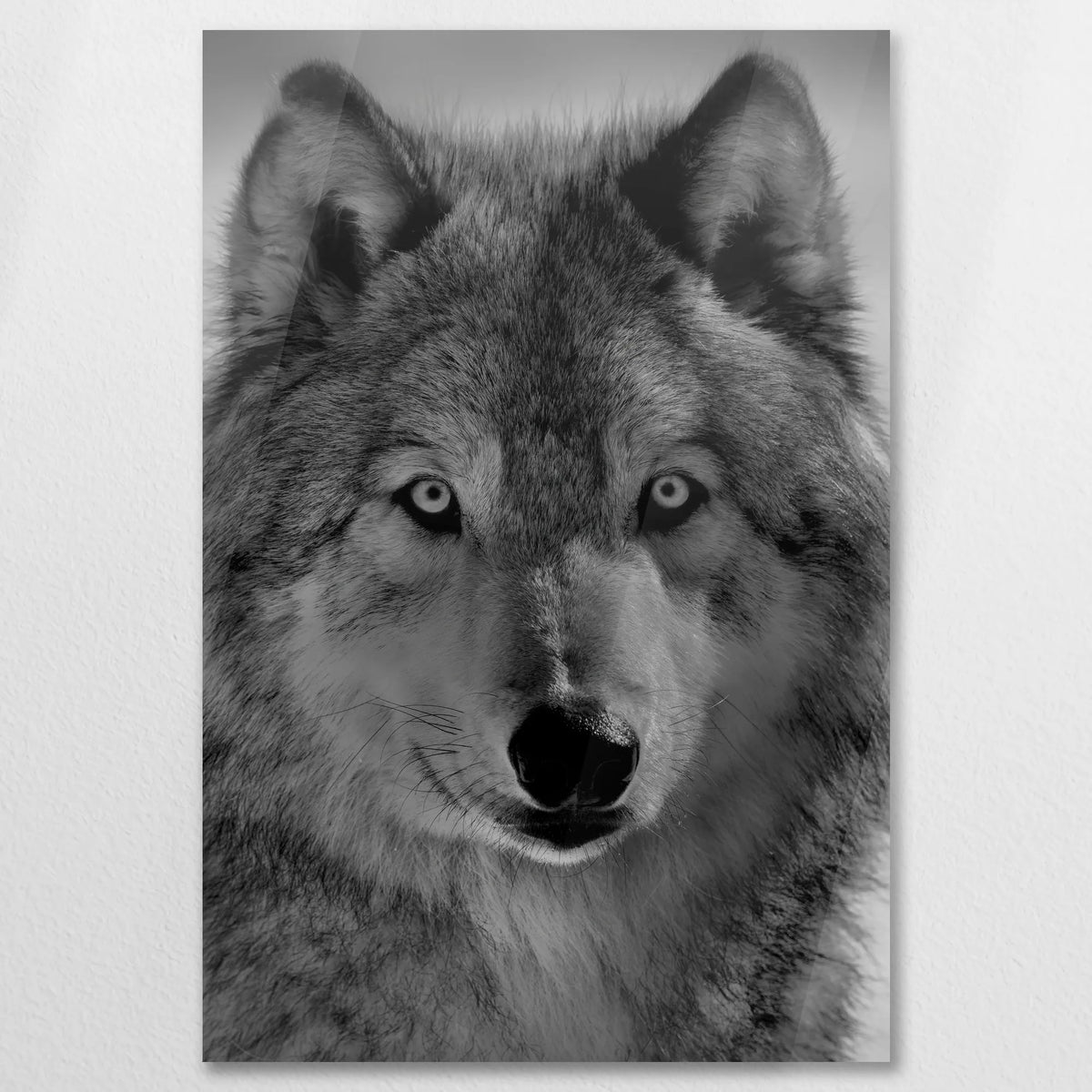 AC-080W120