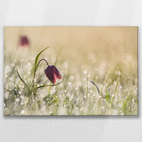 LW-075W050