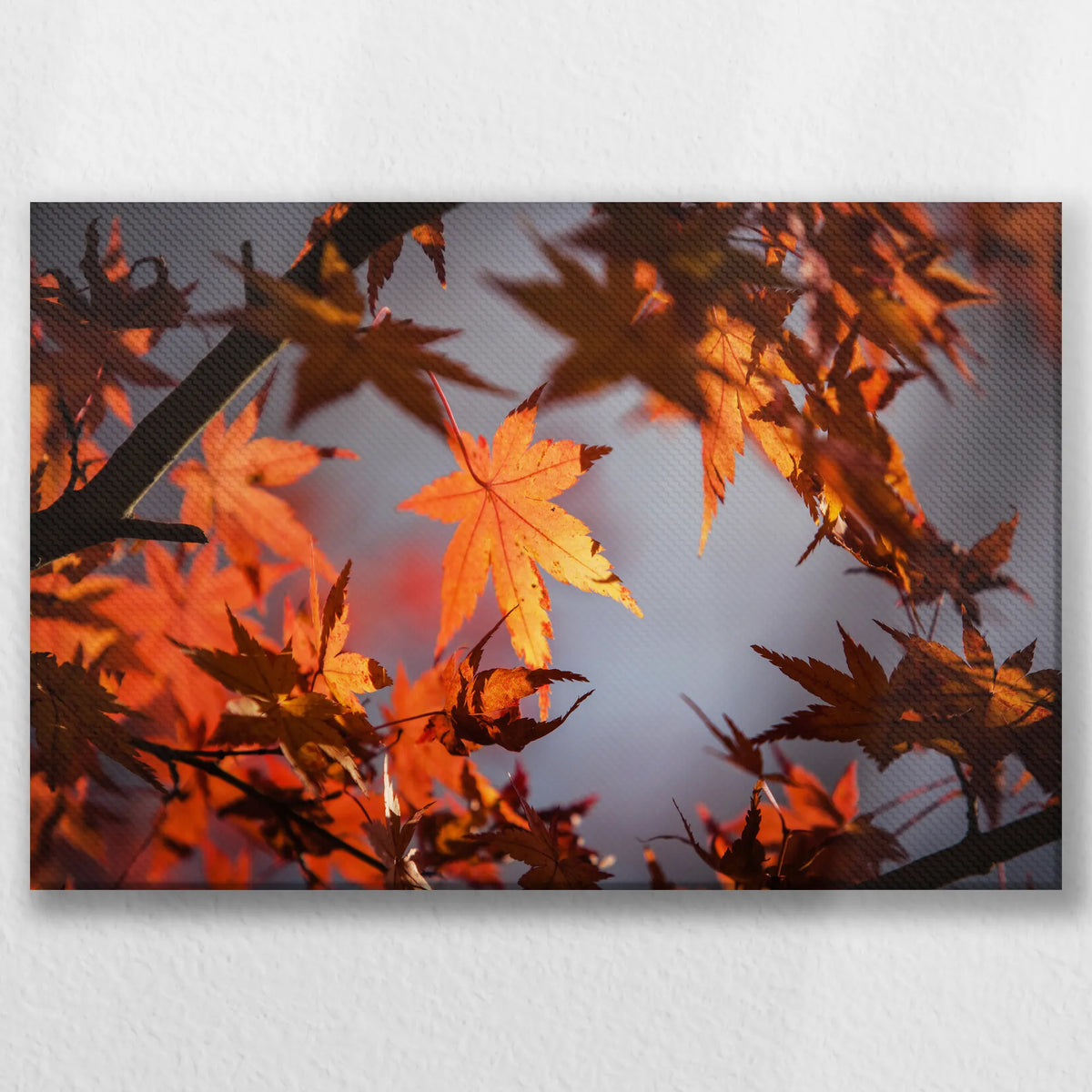 LW-045W030