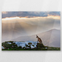 AL-045W030