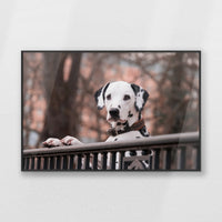 PB-093W062