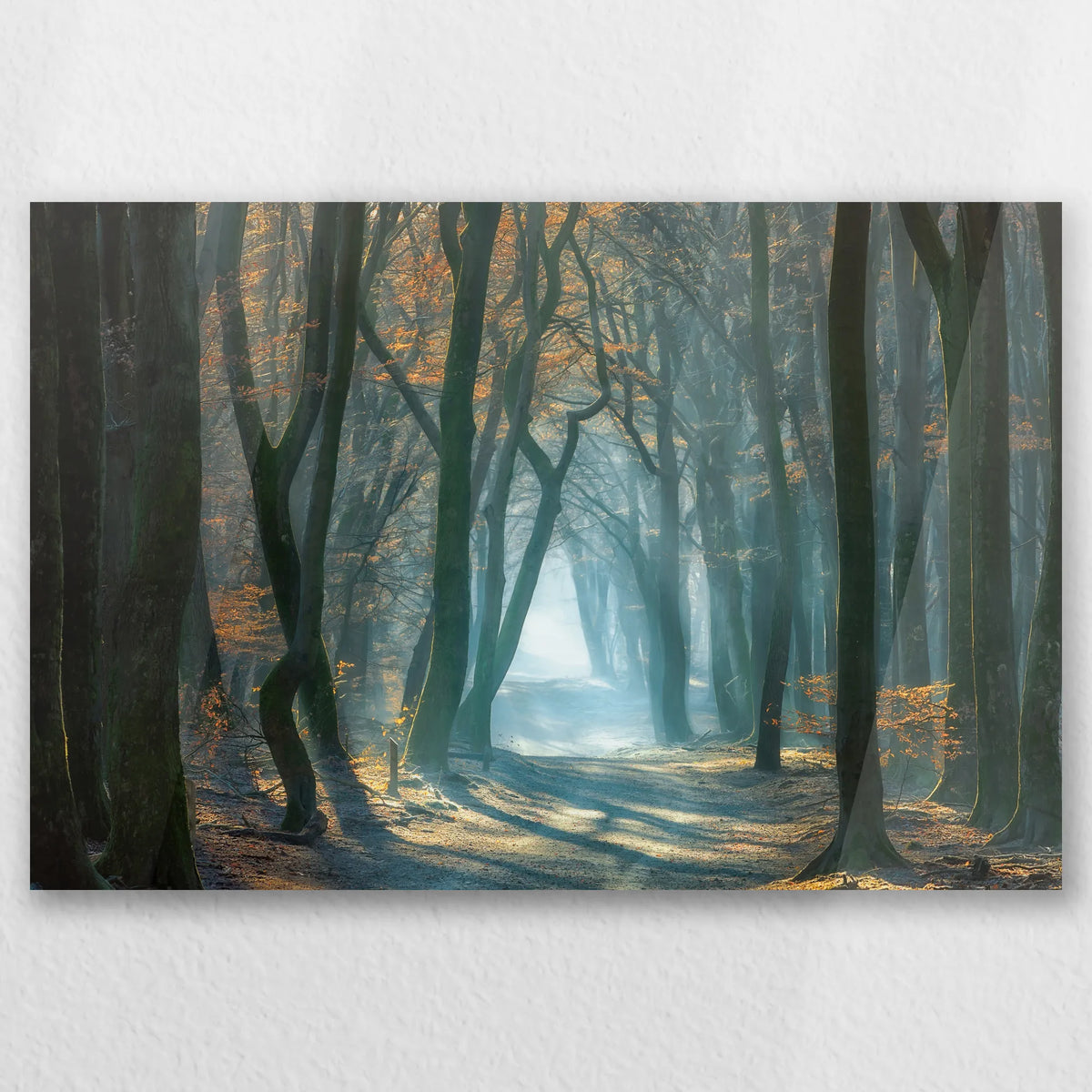 AC-045W030