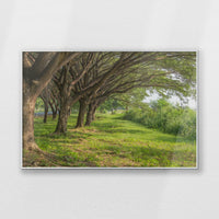 PS-100W070