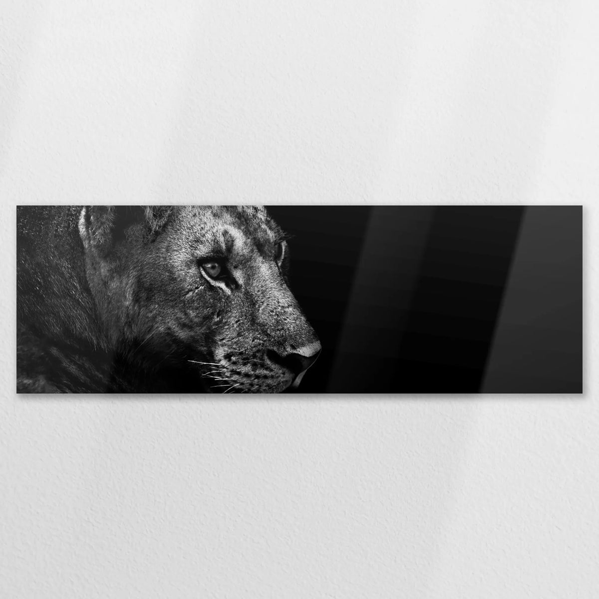 AL-150P050