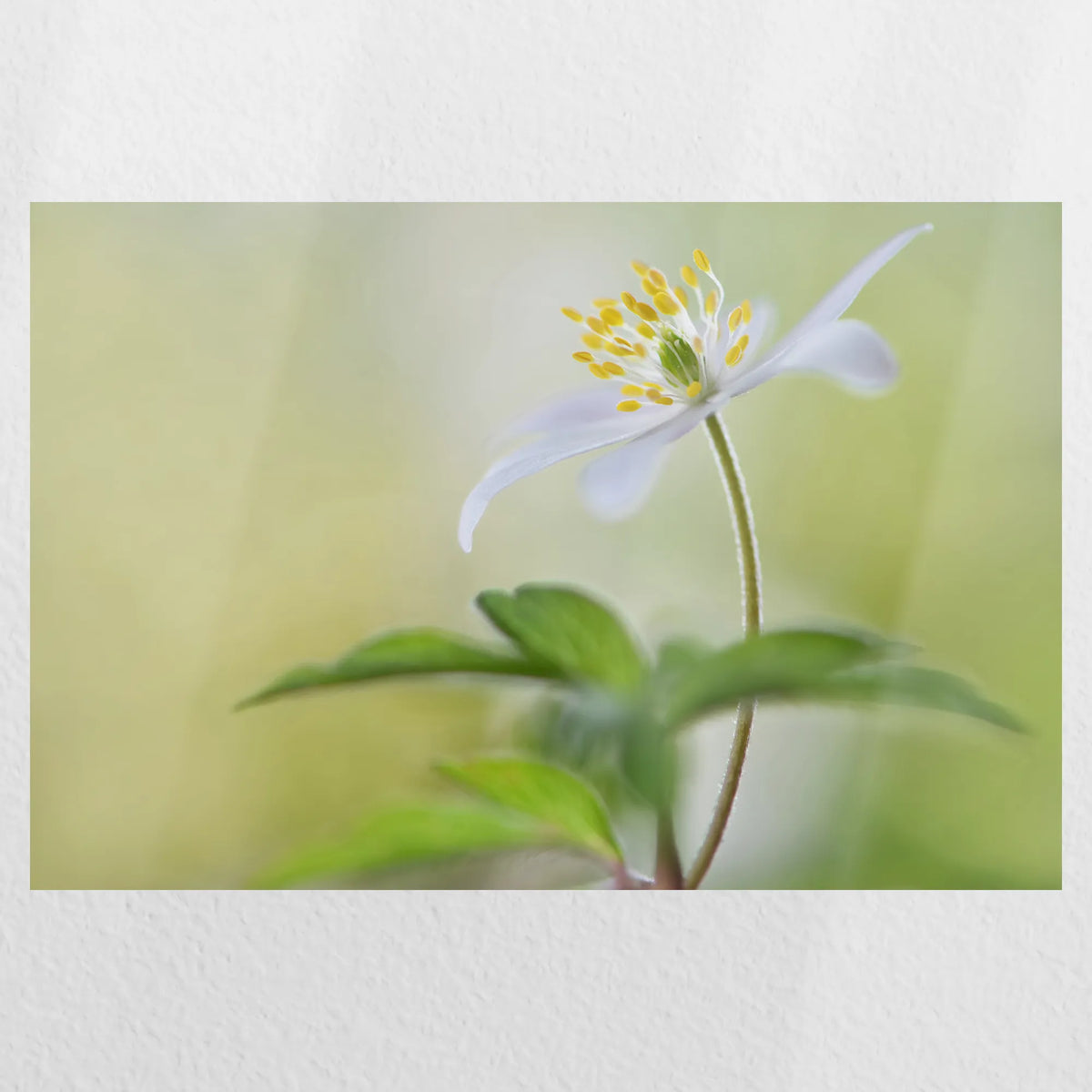 PO-060W040