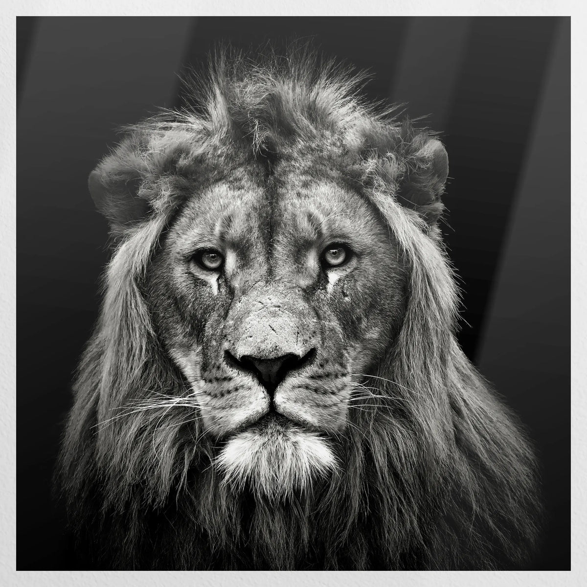 PO-080W080