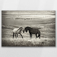 LW-075W050