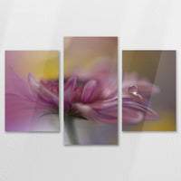AL-120T080