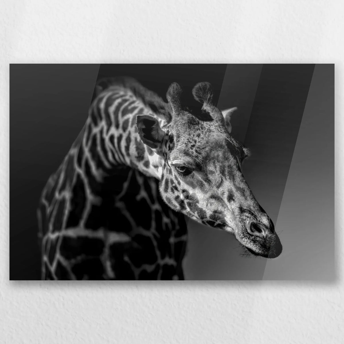 AC-030W020