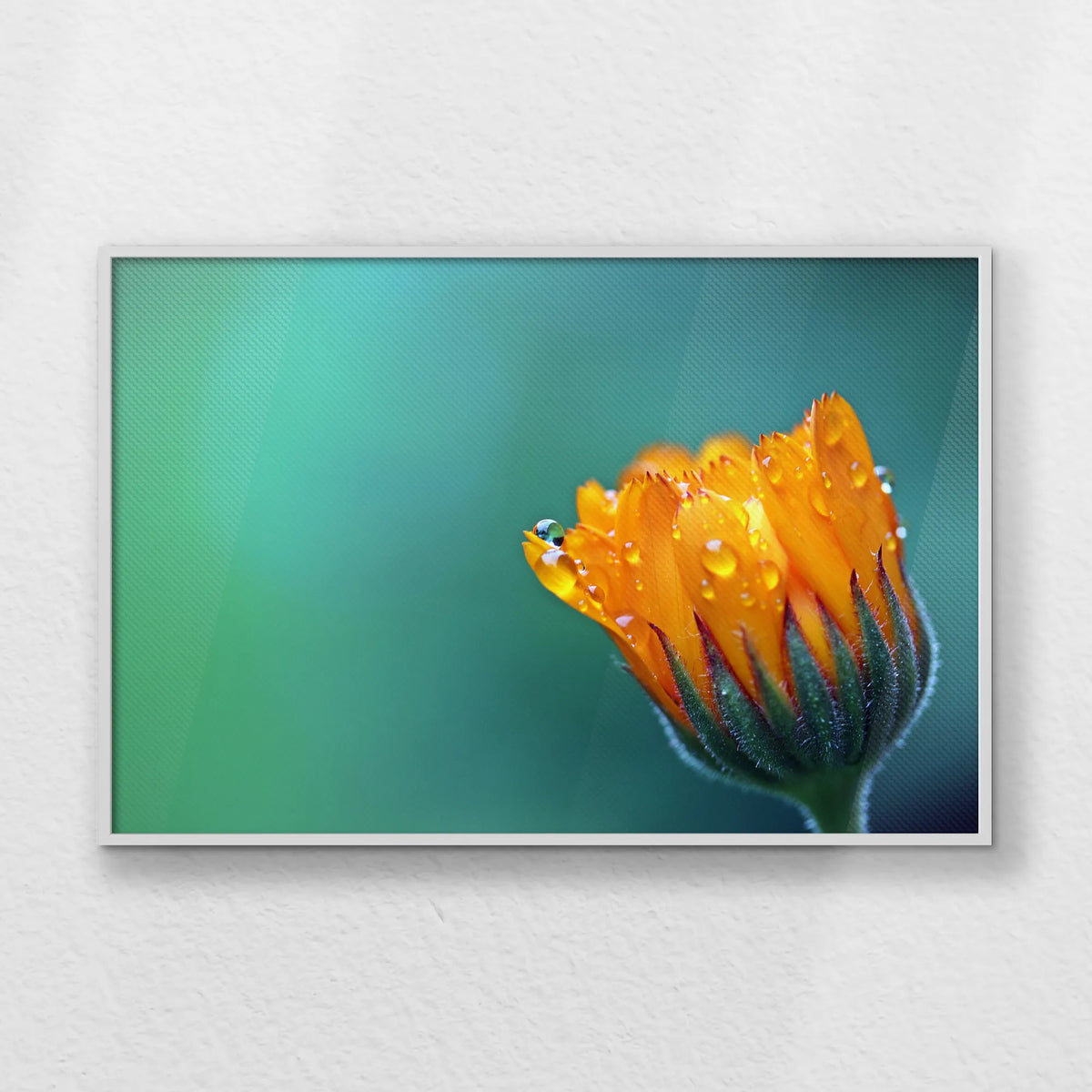 LWW120W080