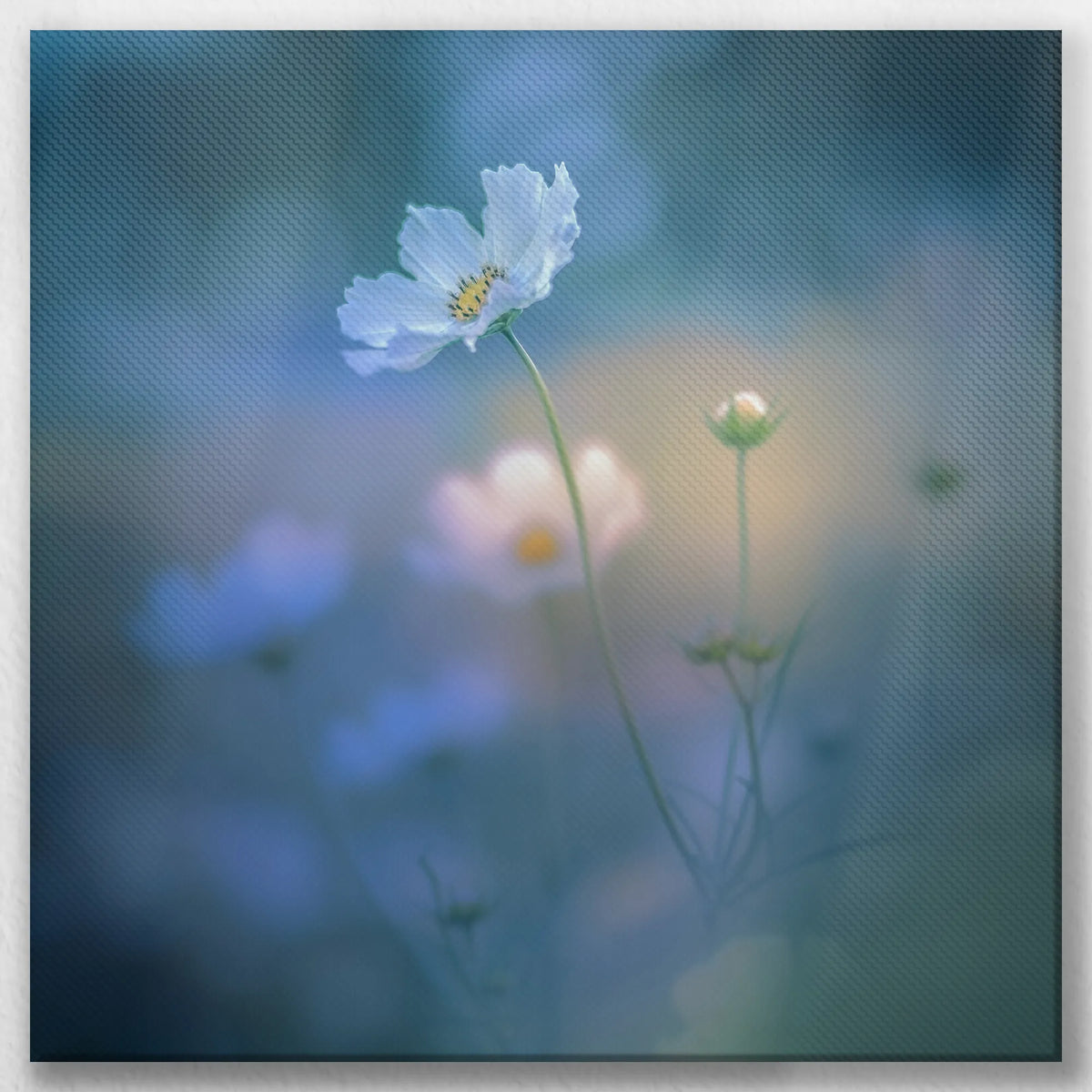 LW-040W040