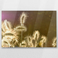 AC-030W020