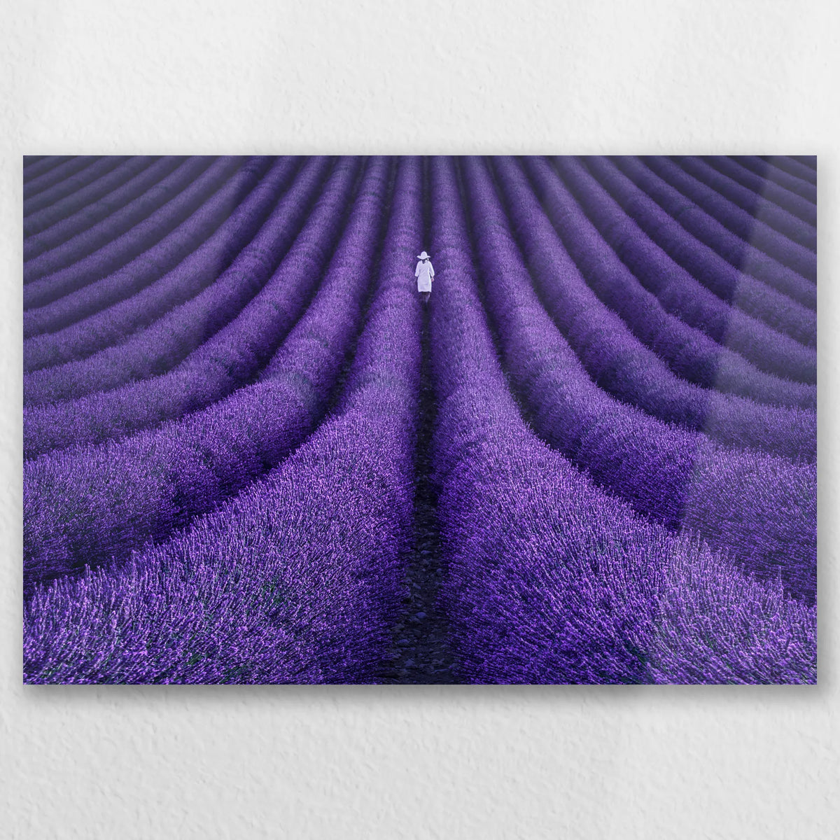 AL-030W020