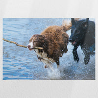 PO-060W040