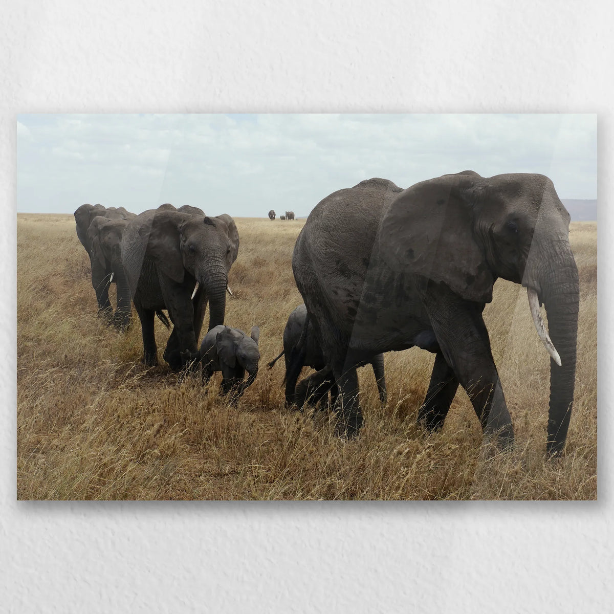 AC-060W040
