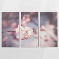 AL-180R120