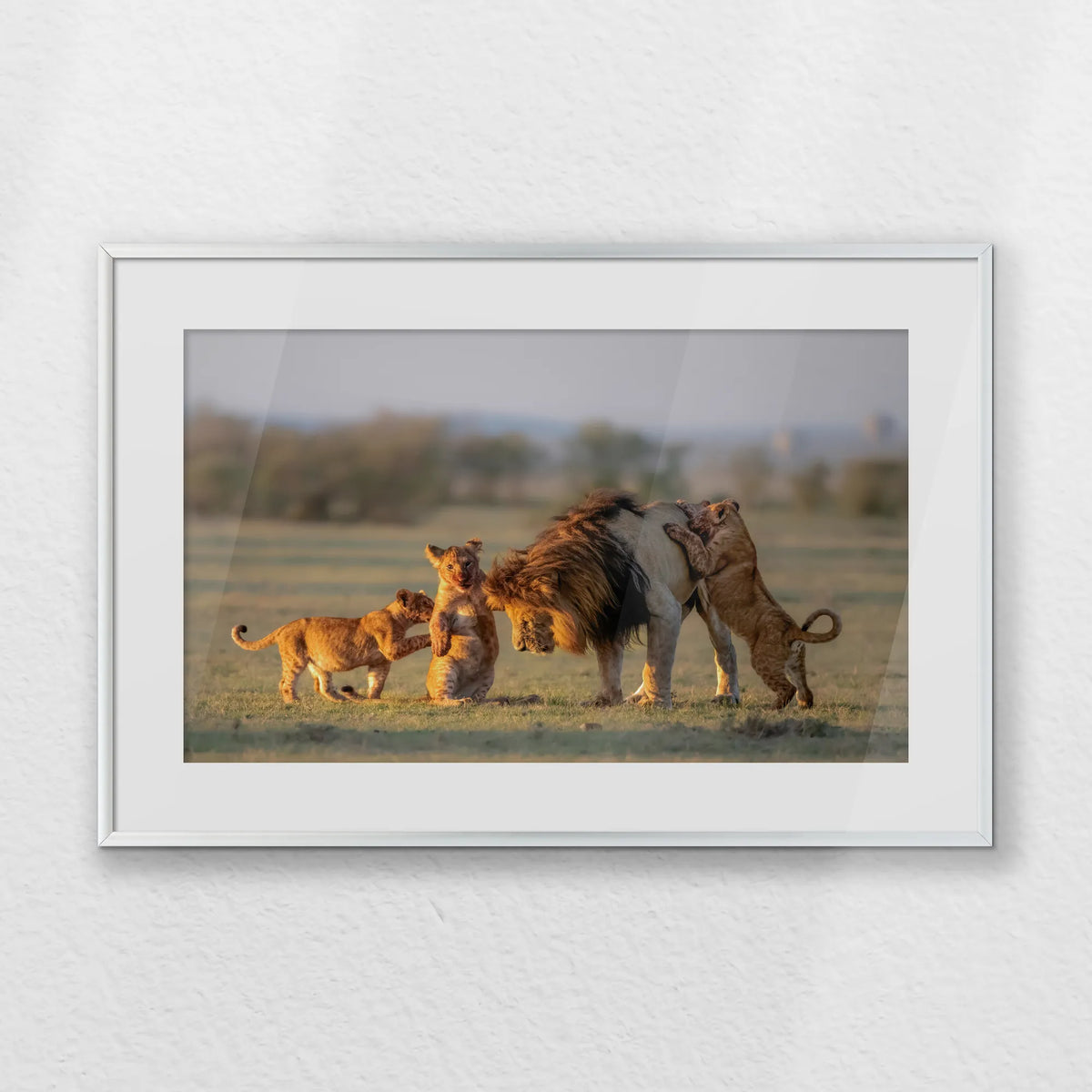PSP060W040