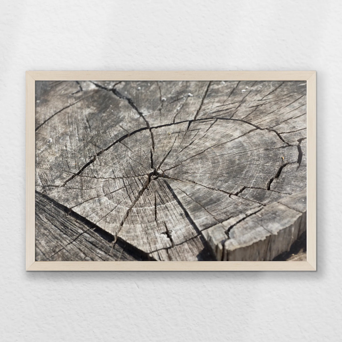 PN-060W040