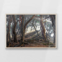 PN-100W070