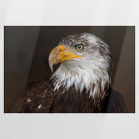 PO-120W080