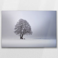 LW-075W050