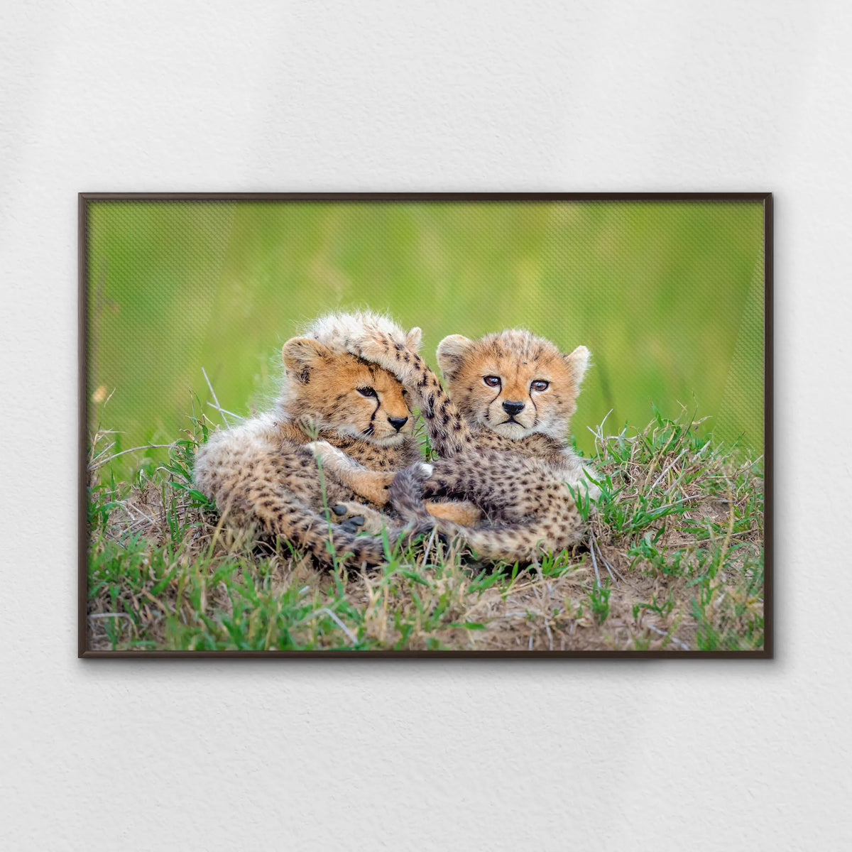 LWN120W080
